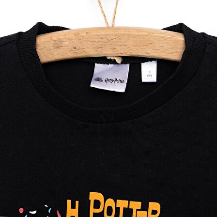 Warner Bros Harry Potter Tshirt Erkek Bebek