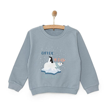 HelloBaby Basic Az Şardonlu Kutup Ayısı Desenli Sweatshirt Erkek Bebek