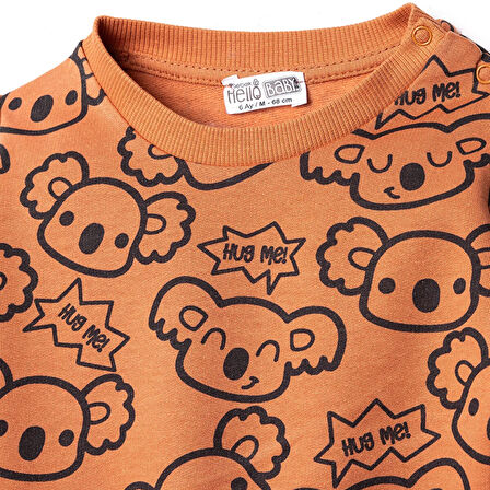 HelloBaby Erkek Bebek Sweatshirt Uzun Kol