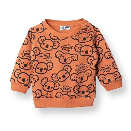 HelloBaby Erkek Bebek Sweatshirt Uzun Kol