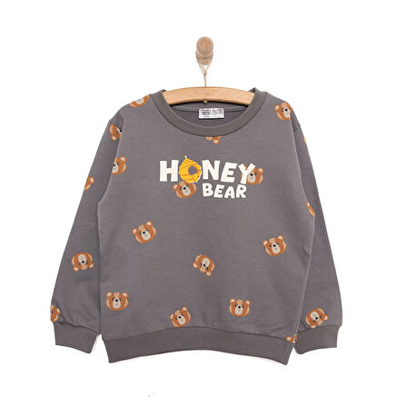 HelloBaby Basic Az Şardonlu Honey Bear Desenli Sweatshirt Erkek Bebek