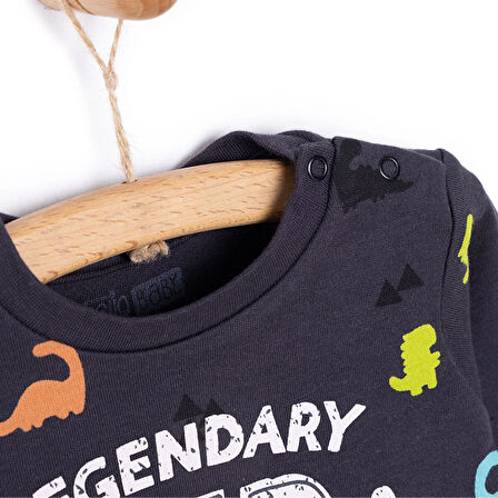 HelloBaby Basic Dinazor  Desenli İnterlok  Uzun kol Tshirt Erkek Bebek