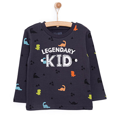 HelloBaby Basic Dinazor  Desenli İnterlok  Uzun kol Tshirt Erkek Bebek