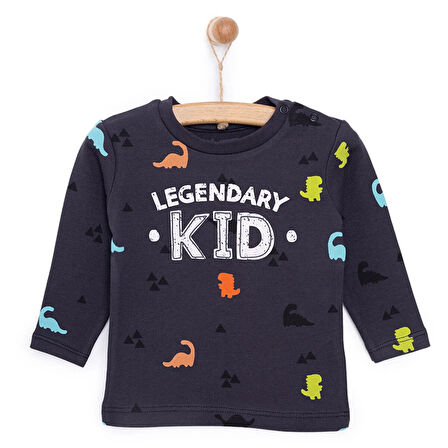 HelloBaby Basic Dinazor  Desenli İnterlok  Uzun kol Tshirt Erkek Bebek