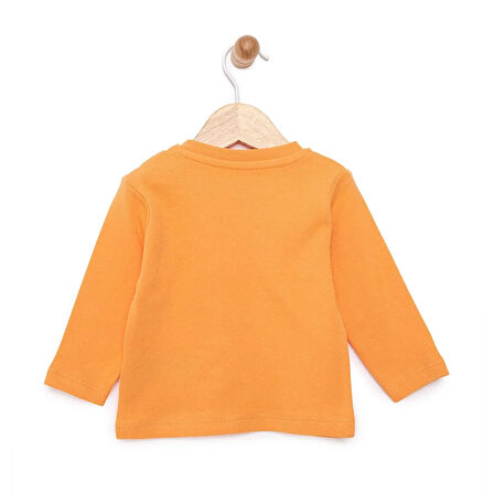 HelloBaby Basic İnterlok Uzun kol Tshirt Kız Bebek
