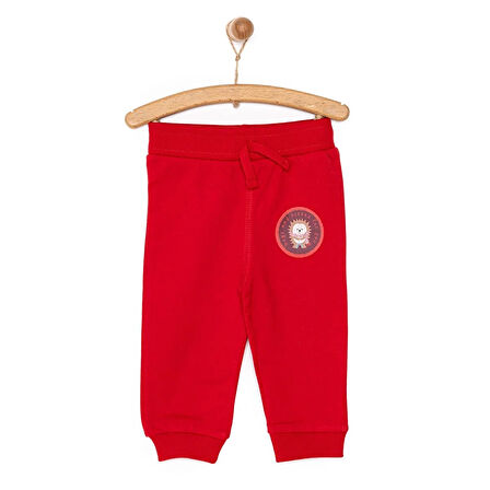 HelloBaby Basic Kirpi Desenli Az Şardonlu Eşofman Alt Unisex