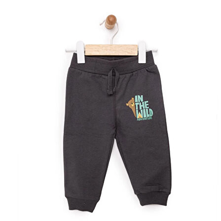 HelloBaby Basic Ayı Baskılı Az Şardonlu Eşofman Alt Unisex