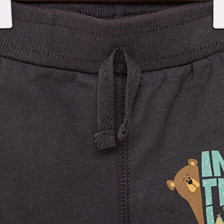 HelloBaby Basic Ayı Baskılı Az Şardonlu Eşofman Alt Unisex
