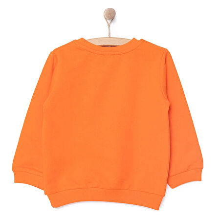 HelloBaby Erkek Sweatshirt Erkek Bebek
