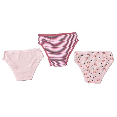 HelloBaby Kız Bebek 3'lü Slip Külot