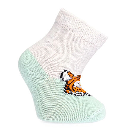 HelloBaby Erkek 3lü Soket Çorap Erkek Bebek