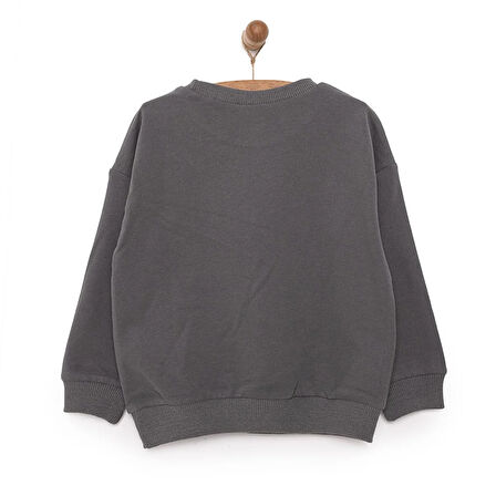 DC COMICS Batman Erkek Sweatshirt Erkek Bebek