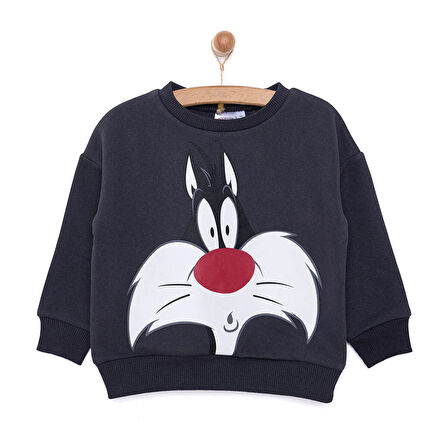 Loney Tunes LooneyTunes Looney Tunes Erkek Sweatshirt Erkek Bebek