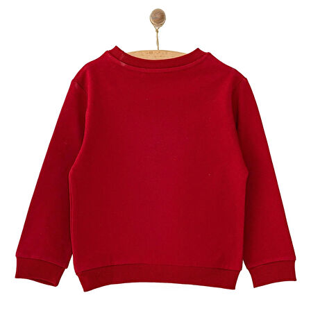 HelloBaby Basic Az Şardonlu Aslan Desenli Sweatshirt Erkek Bebek