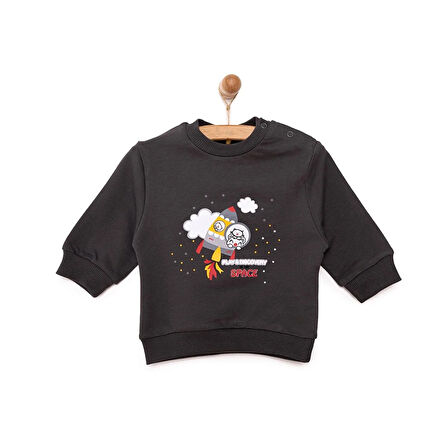 HelloBaby Basic Az Şardonlu Aslan Desenli Sweatshirt Erkek Bebek