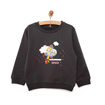 HelloBaby Basic Az Şardonlu Aslan Desenli Sweatshirt Erkek Bebek