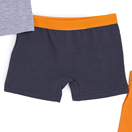 HelloBaby Erkek Bebek 3lü Boxer