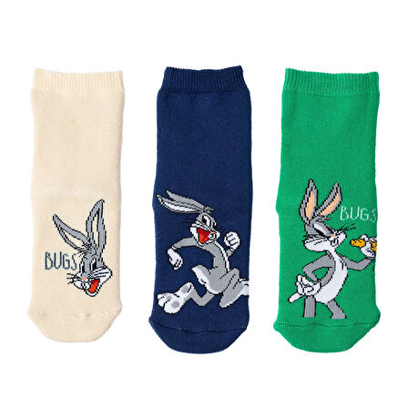 Loney Tunes HelloBaby 3lü Havlu Çorap