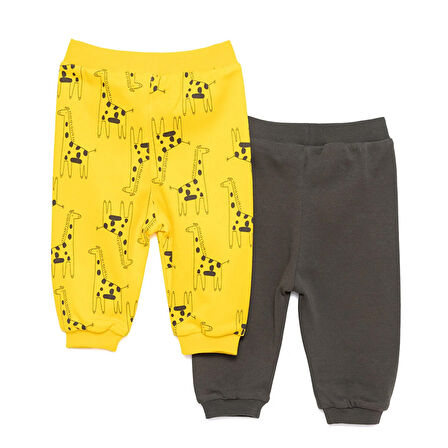 HelloBaby Basic Erkek Dinozor Desenli 2li Patiksiz Alt Erkek Bebek
