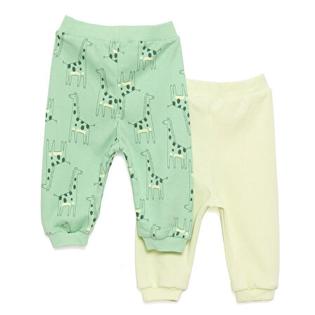 HelloBaby Basic Erkek Dinozor Desenli 2li Patiksiz Alt Erkek Bebek