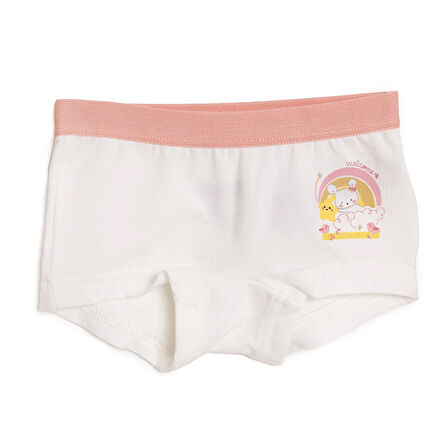 HelloBaby 3lü Boxer Kız Bebek