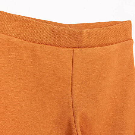 HelloBaby Basic Erkek Aslan Baskılı 2li Patiksiz Alt Erkek Bebek