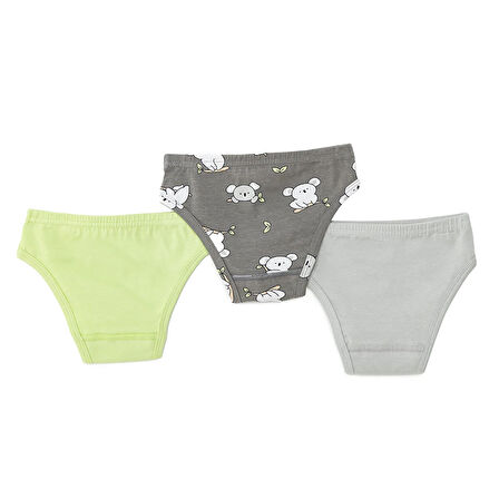 HelloBaby Erkek 3lü Slip Külot