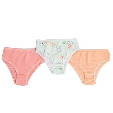 HelloBaby Kız Bebek 3lü Slip Külot