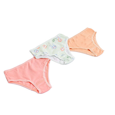 HelloBaby Kız Bebek 3lü Slip Külot