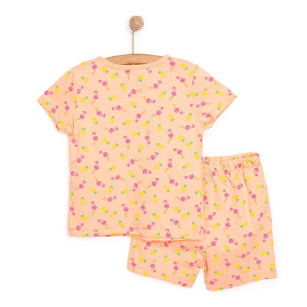 HelloBaby Kısa Kol Filamingo Desenli Bisiklet Yaka Pijama Takımı