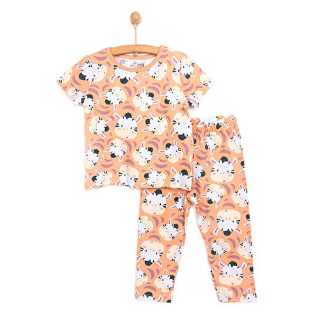 HelloBaby Erkek Kısa Kol Zebra Desenli Bisiklet Yaka Pijama Takımı