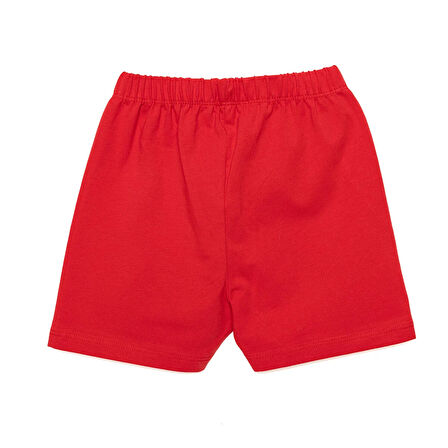 HelloBaby Basic  Şort Kız Bebek