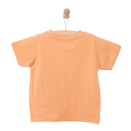 HelloBaby Basic Koala Baskılı  Tshirt Erkek Bebek
