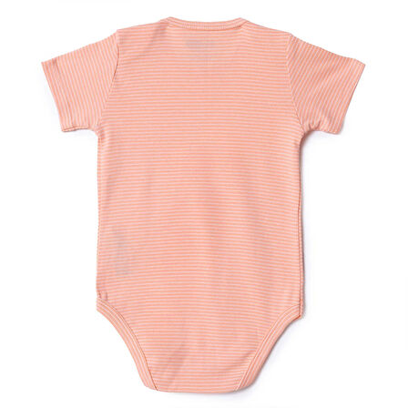 HelloBaby Erkek Bebek Kısa Kol Body Çıtçıtlı Zarf Yaka Kısa Kol