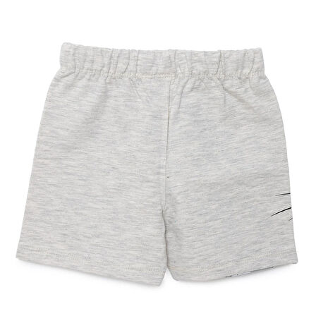 Loney Tunes Erkek Bebek Şort Reçme Paça Gri Melanj