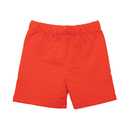 PAW Patrol - NICKELODEON Patrol - NICKELODEON Paw Patrol Şort