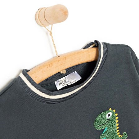 HelloBaby City Boy Erkek Sweatshirt Erkek Bebek