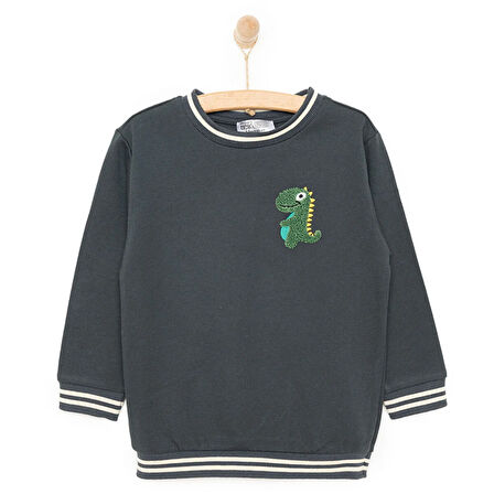HelloBaby City Boy Erkek Sweatshirt Erkek Bebek