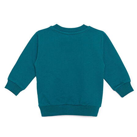 HelloBaby Müzikli Dinazor Baskılı Sweatshirt Erkek Bebek