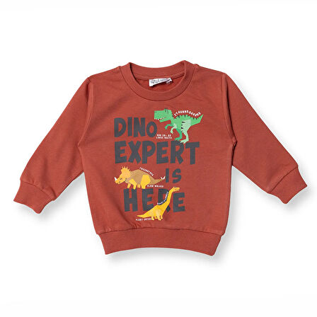 HelloBaby Erkek Bebek Sweatshirt  Dinazor Baskılı Bisiklet Yaka Uzun Kol