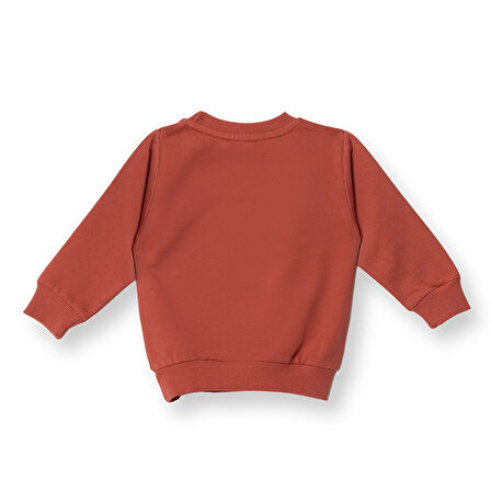HelloBaby Erkek Bebek Sweatshirt  Dinazor Baskılı Bisiklet Yaka Uzun Kol