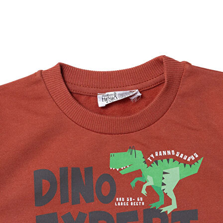 HelloBaby Erkek Bebek Sweatshirt  Dinazor Baskılı Bisiklet Yaka Uzun Kol