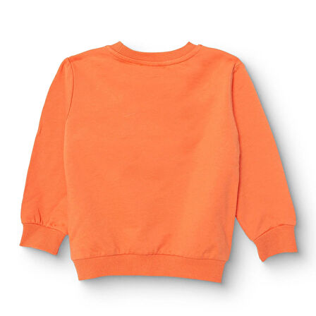 HelloBaby Erkek Bebek Basic Sweatshirt Şardonlu Bisiklet Yaka Uzun Kol