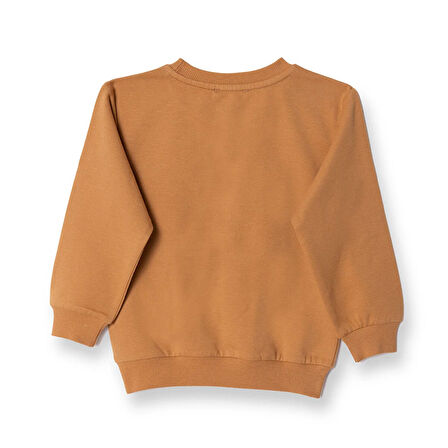 HelloBaby Ayıcık Baskılı Sweatshirt Erkek Bebek