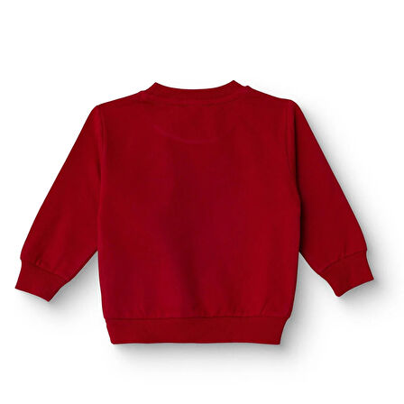 HelloBaby Erkek Bebek Sweatshirt Şardonlu İki İplik Bisiklet Yaka Uzun Kol