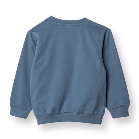 HelloBaby Erkek Bebek Basic Sweatshirt Şardonlu Bisiklet Yaka Uzun Kol
