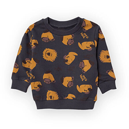 HelloBaby Köpek Desenli Sweatshirt Erkek Bebek