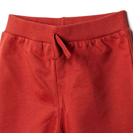 HelloBaby Erkek Eşofman Alt Erkek Bebek