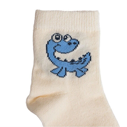 HelloBaby 3lü Soket Çorap