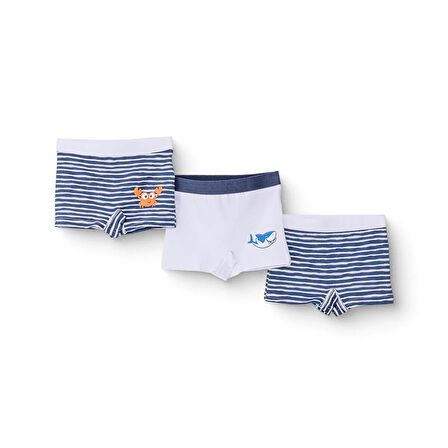 HelloBaby Erkek Bebek 3'lü Külot